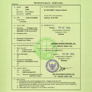 contoh sertifikat tanah